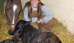 母马交配视频,自然繁衍的震撼瞬间